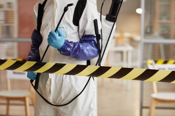 Professional Odor Removal technician working in Seville, OH